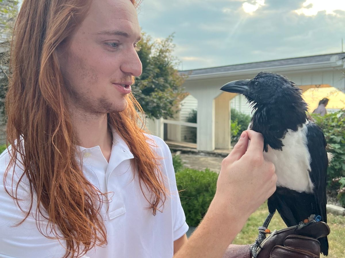 Wing Blade Falconry | Bird of Prey Experiences Nashville TN