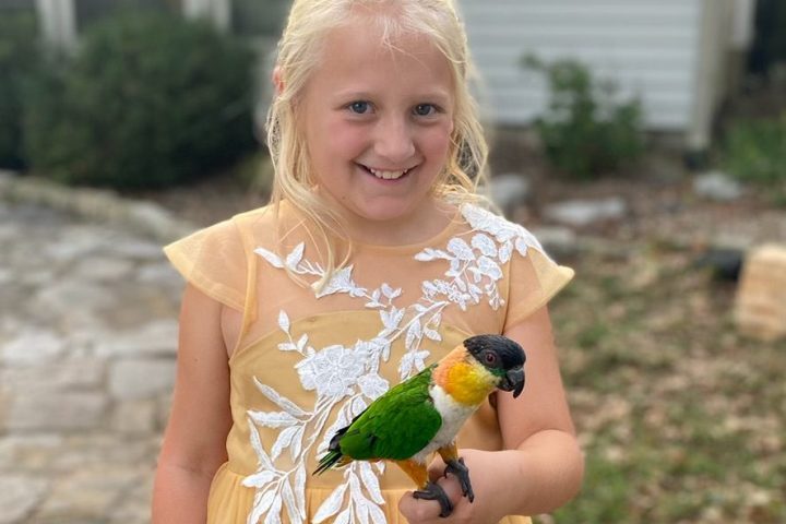 a little girl standing with a bird on her hand