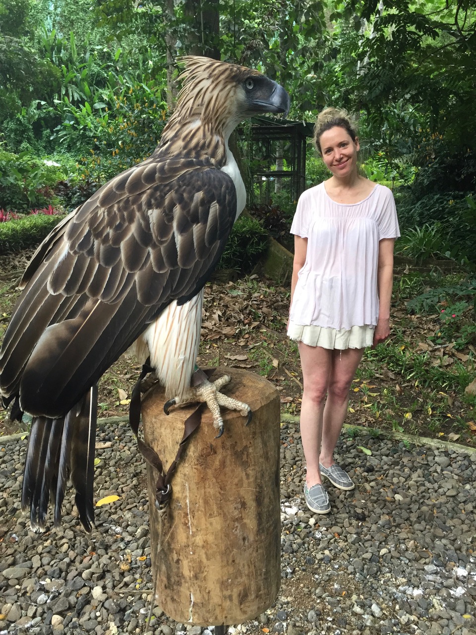 a bird standing in front of a woman