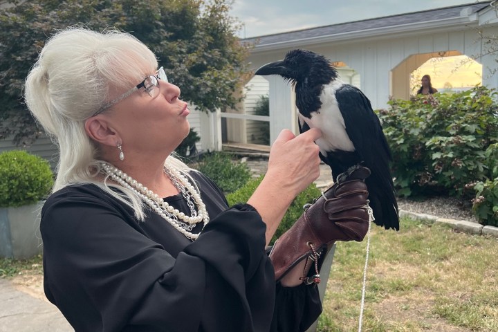 a person that is standing in the grass