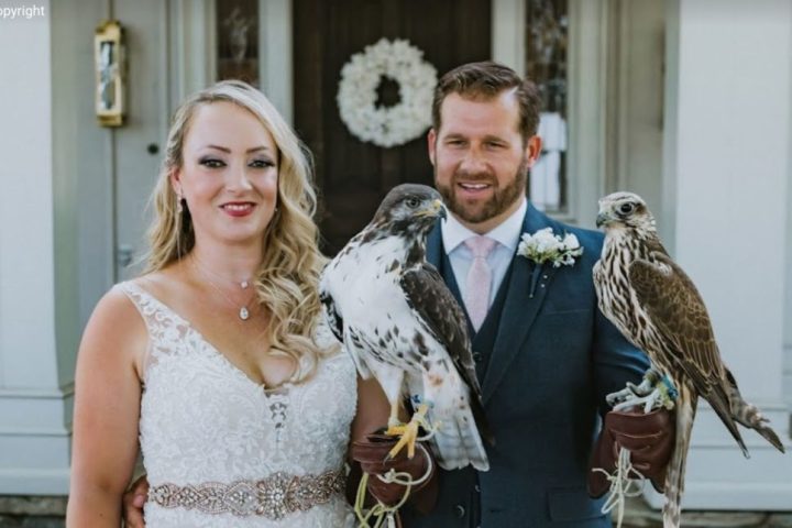 a wedded couple holding birds