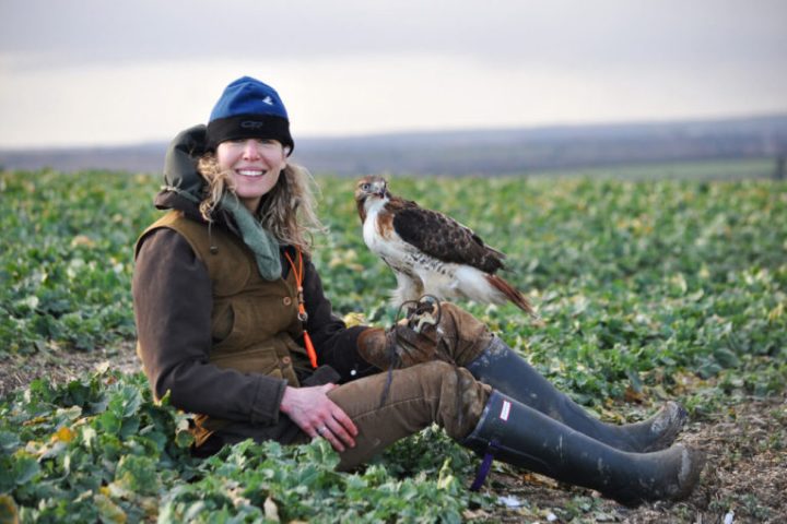 a person sitting with a bird in the grass