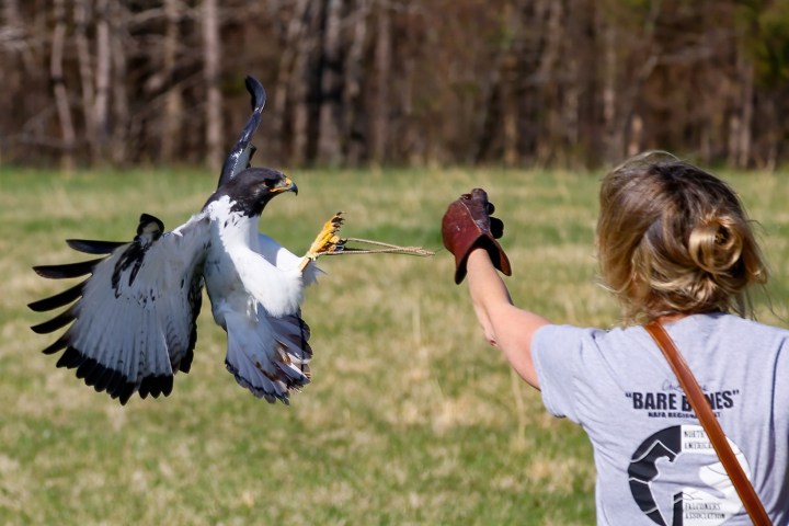 a person holding a frisbee