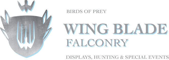 Wing Blade Falconry