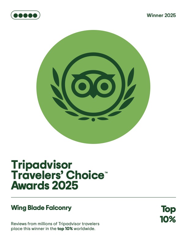Tripadvisor Travelers' Choice Award 2025 badge for Wing Blade Falconry, top 10% worldwide.